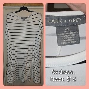 Lark + Grey Women's Striped Mini Dress - Black and White